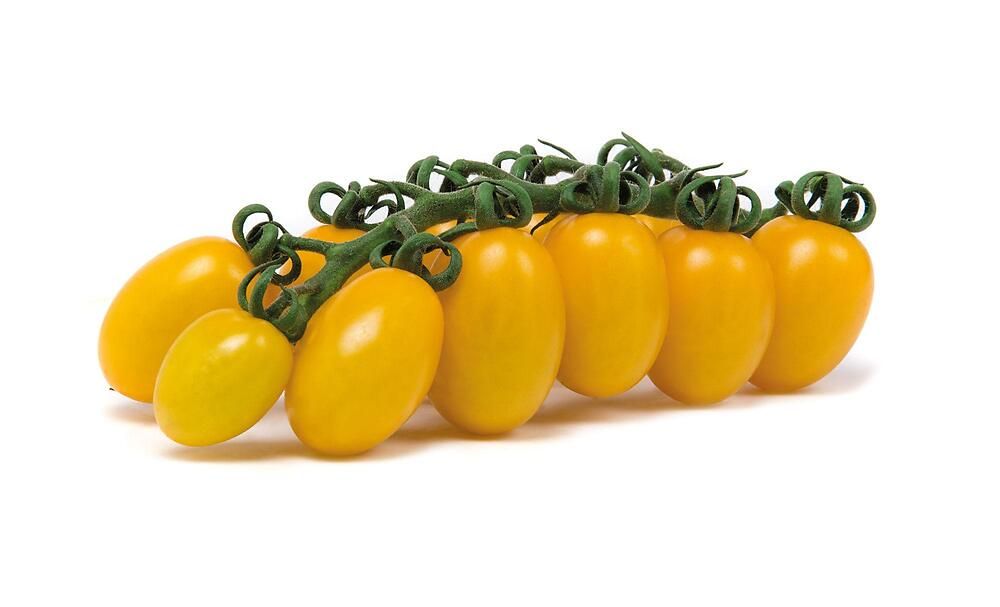 Daterini Gialli Fiammante